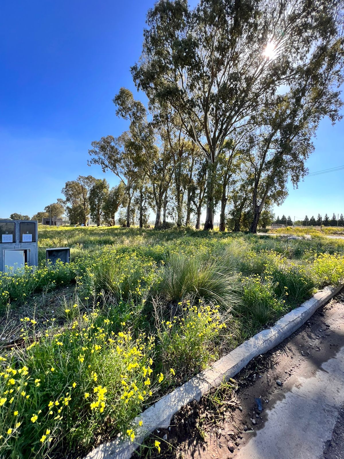 Terreno en Venta en CAMBACERES 2300, La Merced, Bahía Blanca - Bahía Blanca Propiedades | SITIO OFICIAL l