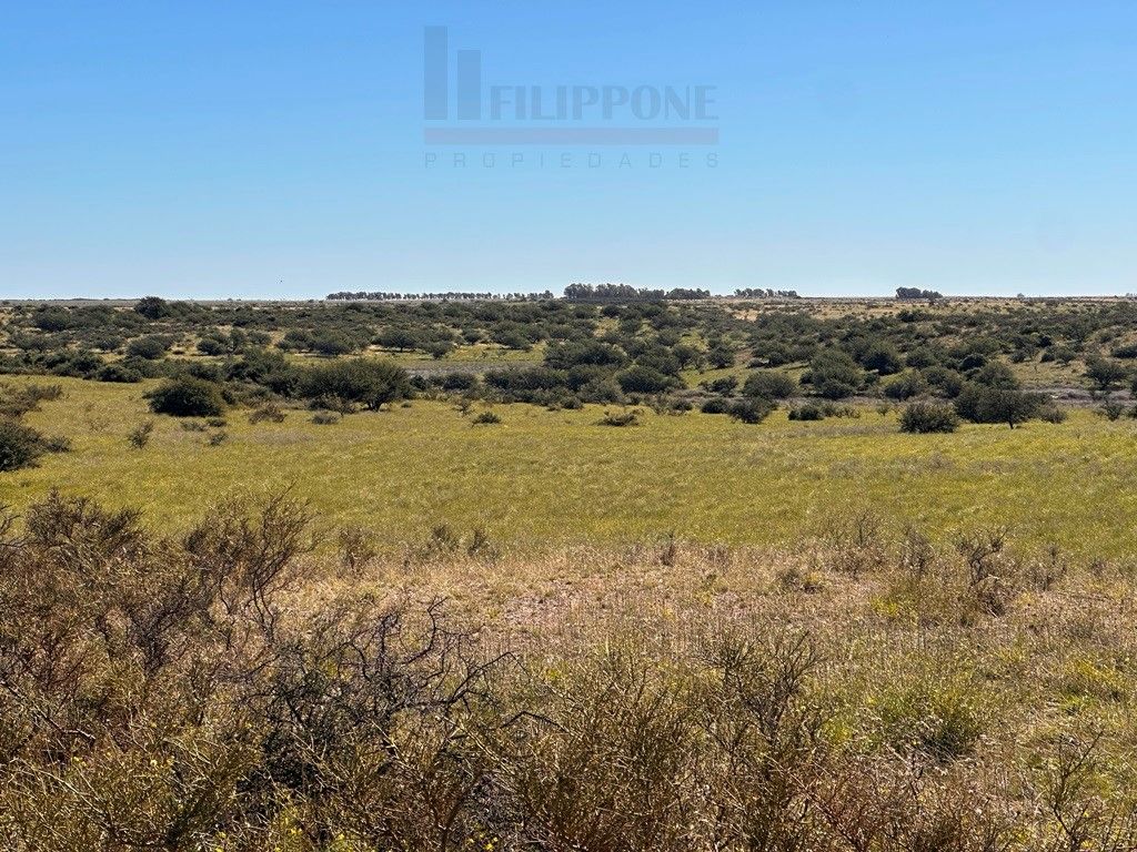 Campo  en Venta en Ruta 35 - Bahía Blanca Propiedades | SITIO OFICIAL l