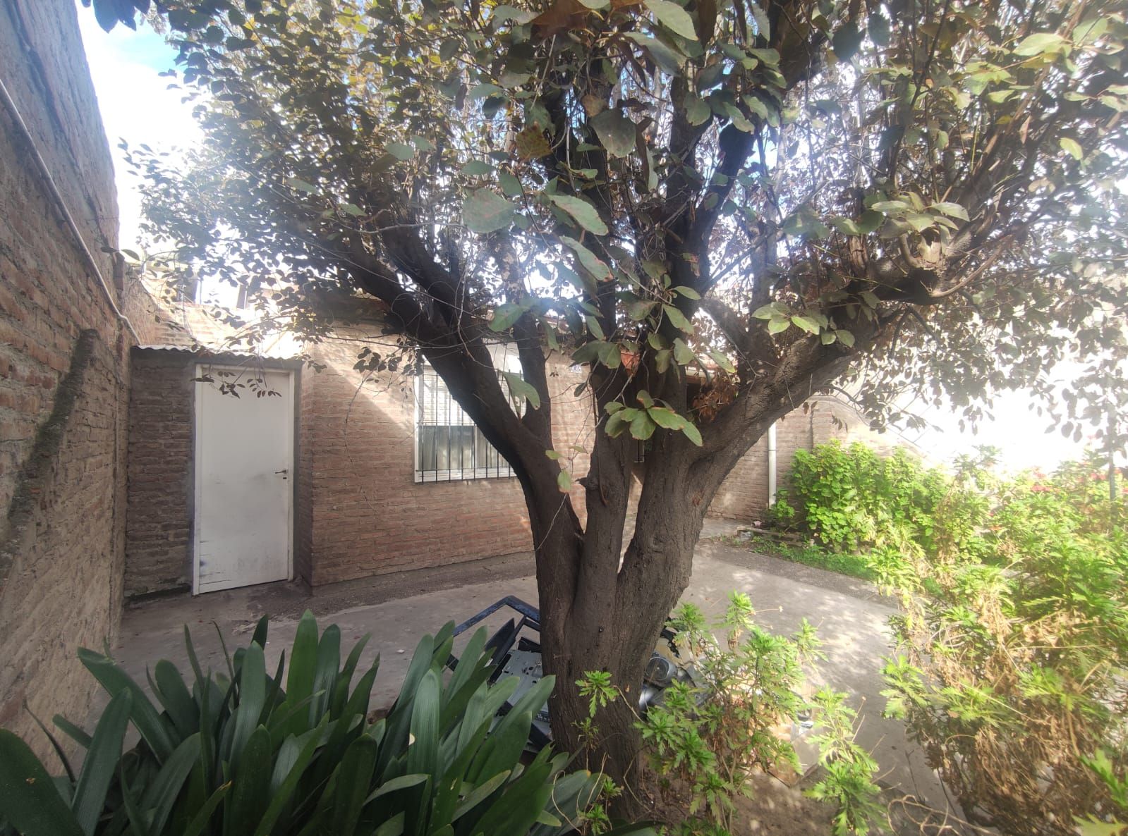 Casa + Departamento en Venta en Paunero 1700 ,  Bahía Blanca - Bahía Blanca Propiedades | SITIO OFICIAL l