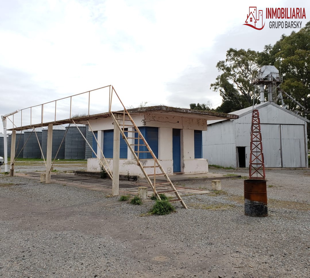 Campo  en Venta   Coronel Dorrego - Bahía Blanca Propiedades | SITIO OFICIAL l