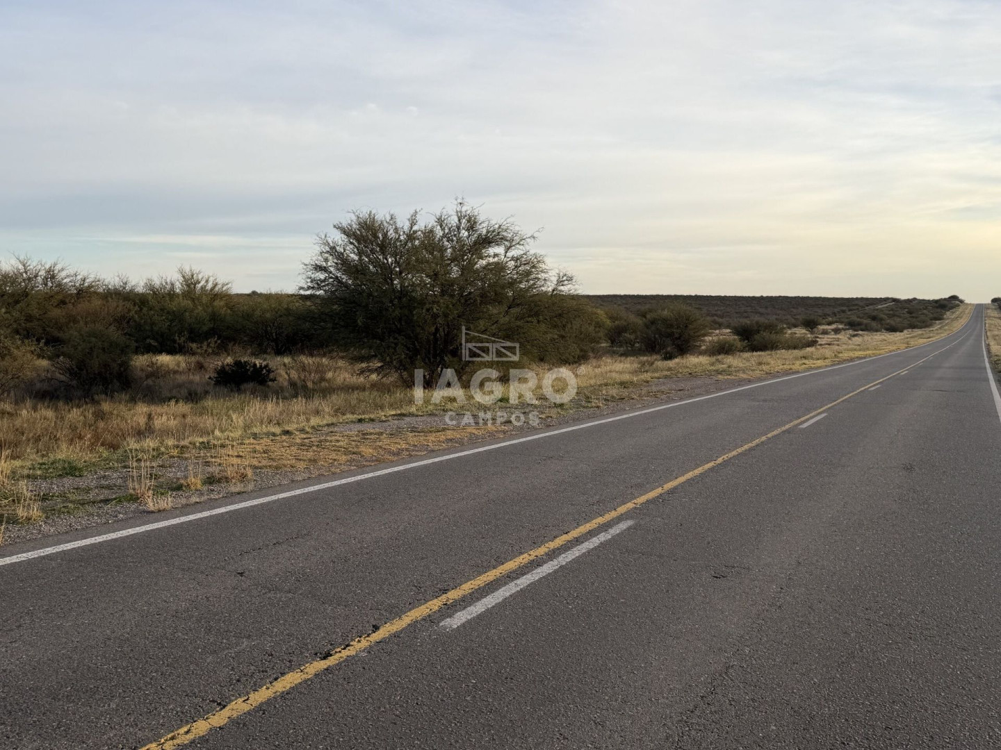 Campo  en Venta en Caleu Caleu,  Caleu Caleu - Bahía Blanca Propiedades | SITIO OFICIAL l