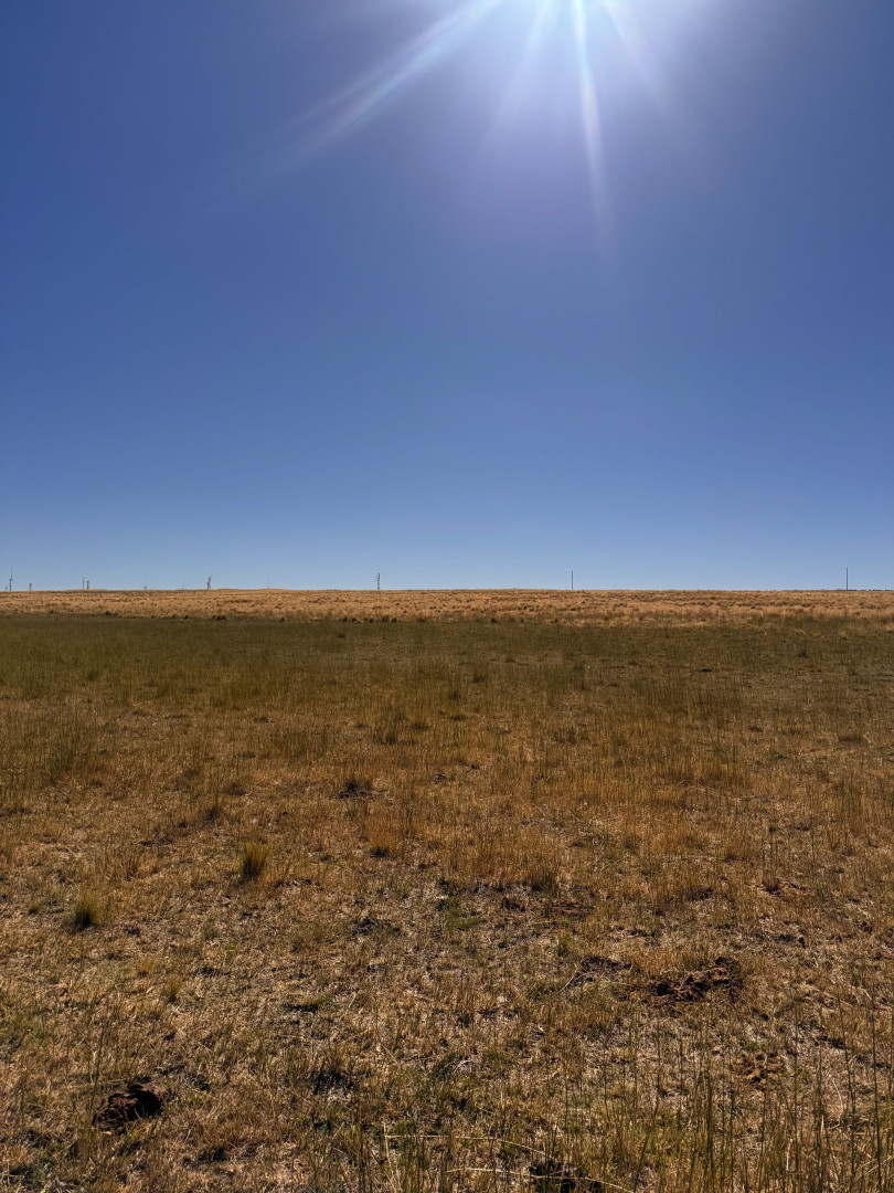Campo  en Venta en RUTA 33 ,  Tornquist - Bahía Blanca Propiedades | SITIO OFICIAL l
