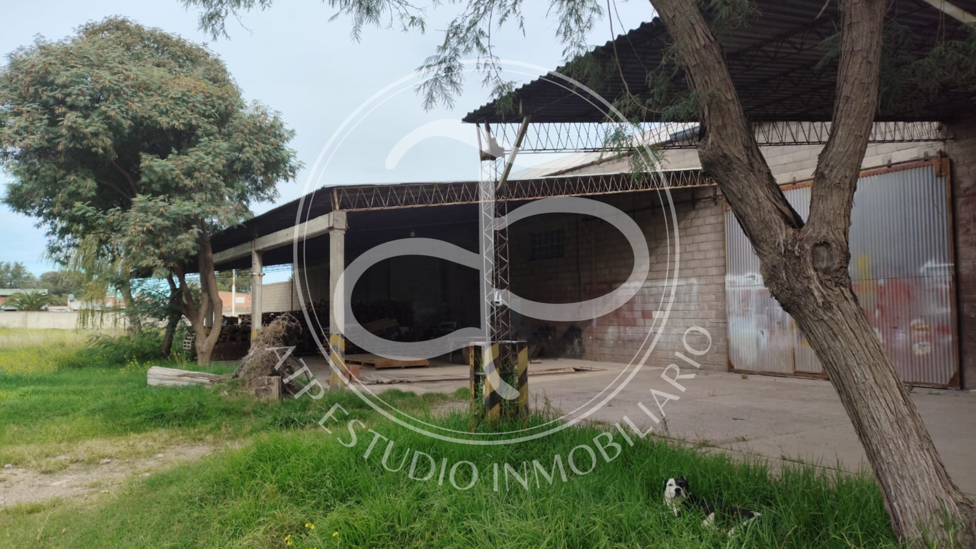 Galpón en Venta   Bahía Blanca - Bahía Blanca Propiedades | SITIO OFICIAL l