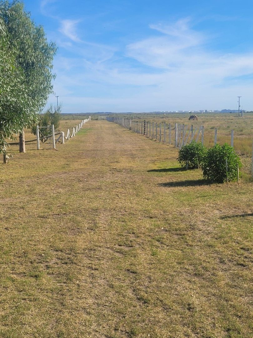 Casaquinta en Venta en Sector Rural,  Punta Alta - Bahía Blanca Propiedades | SITIO OFICIAL l