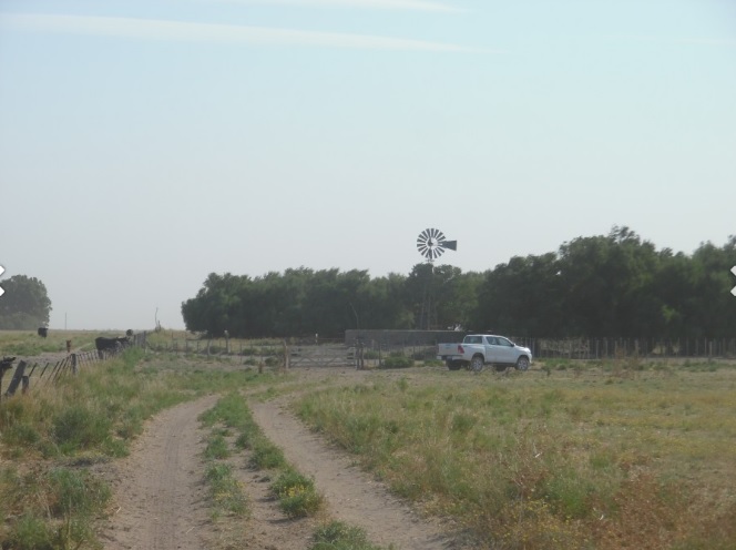 Campo  en Venta en Partido De Villarino,  Villarino - Bahía Blanca Propiedades | SITIO OFICIAL l