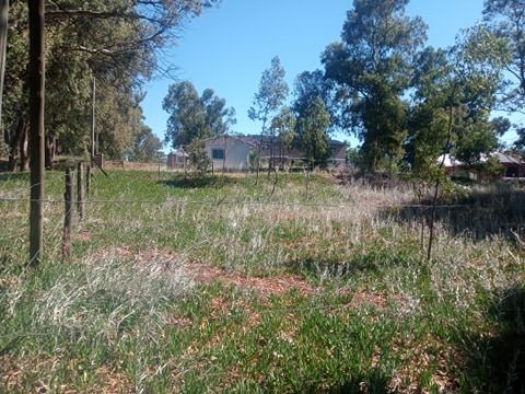 Terreno en Venta en Ameghino Y 9 De Julio,  Pehuen Co - Bahía Blanca Propiedades | SITIO OFICIAL l