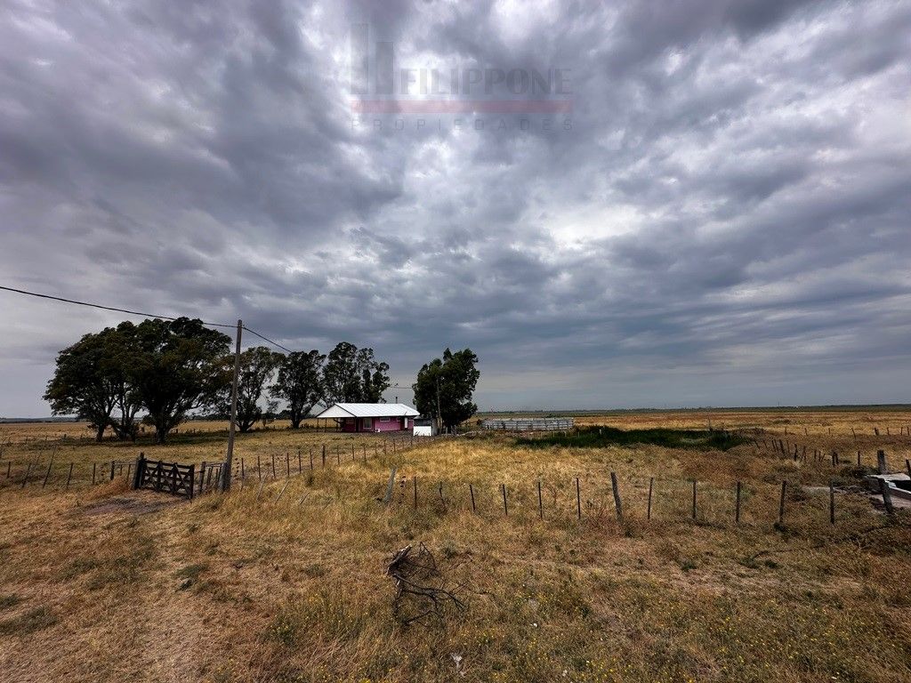 Campo  en Venta en Ruta Nacional 35 Km15,  Bahía Blanca - Bahía Blanca Propiedades | SITIO OFICIAL l
