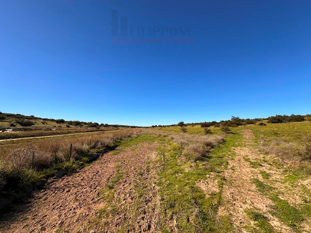 Campo  en Venta en Ruta 35 - Bahía Blanca Propiedades | SITIO OFICIAL l