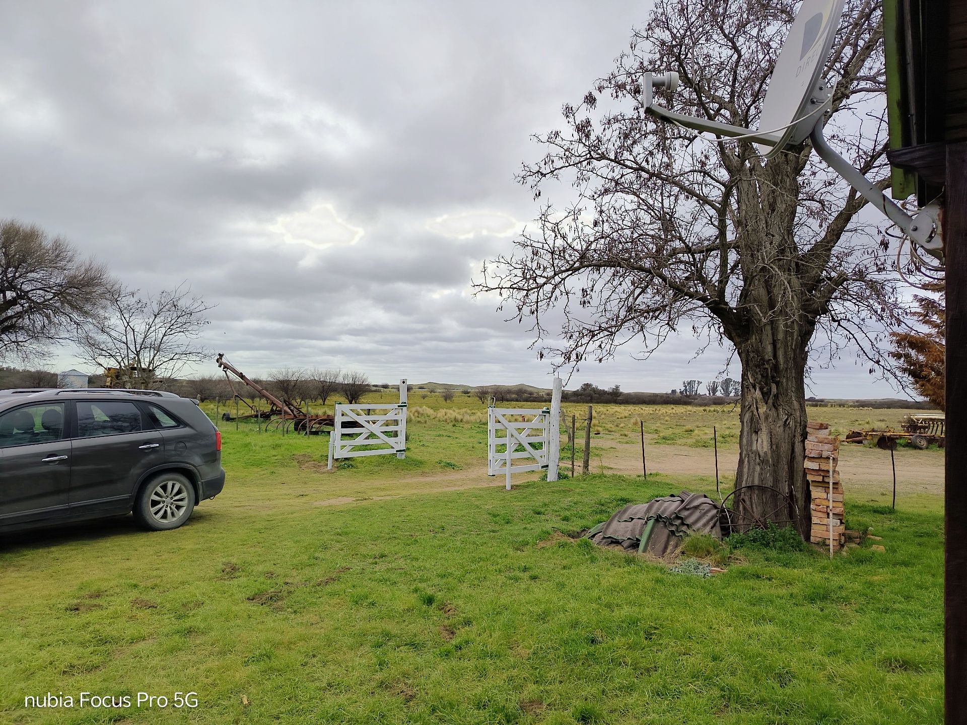 Campo  en Venta en Mayor Buratovich ,  Villarino - Bahía Blanca Propiedades | SITIO OFICIAL l