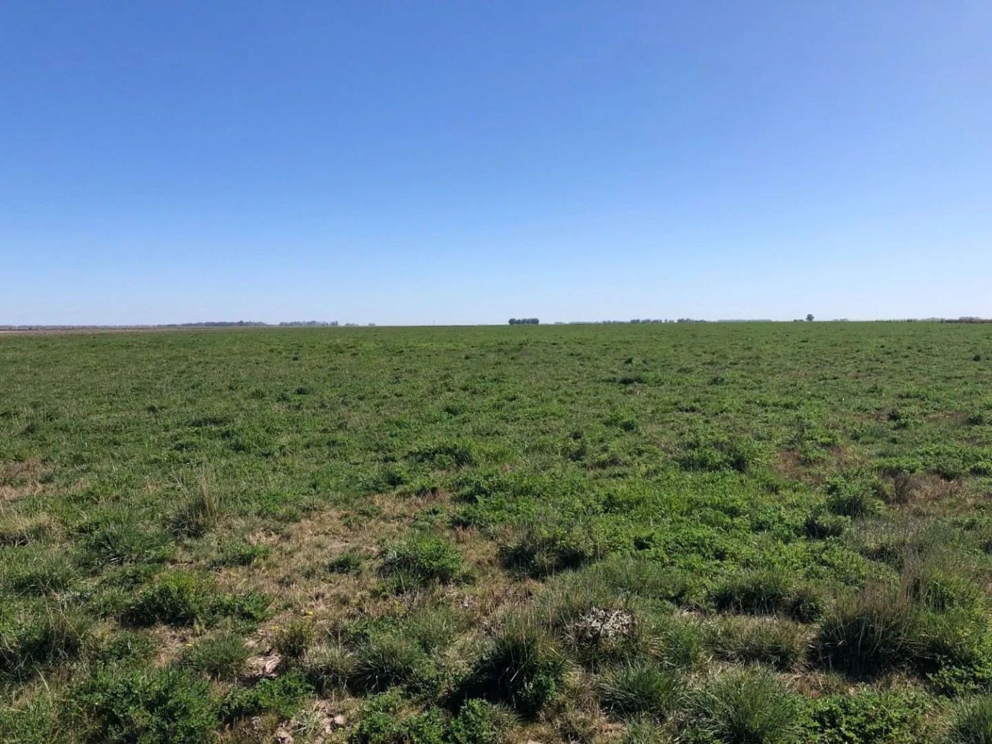 Campo  en Venta en Tres Arroyos ,  Tres Arroyos - Bahía Blanca Propiedades | SITIO OFICIAL l
