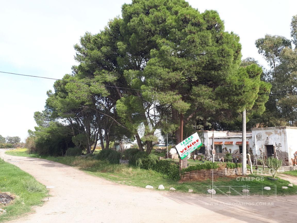 Terreno en Venta en Sixto Laspiur Y Ugarte,  Bahía Blanca - Bahía Blanca Propiedades | SITIO OFICIAL l