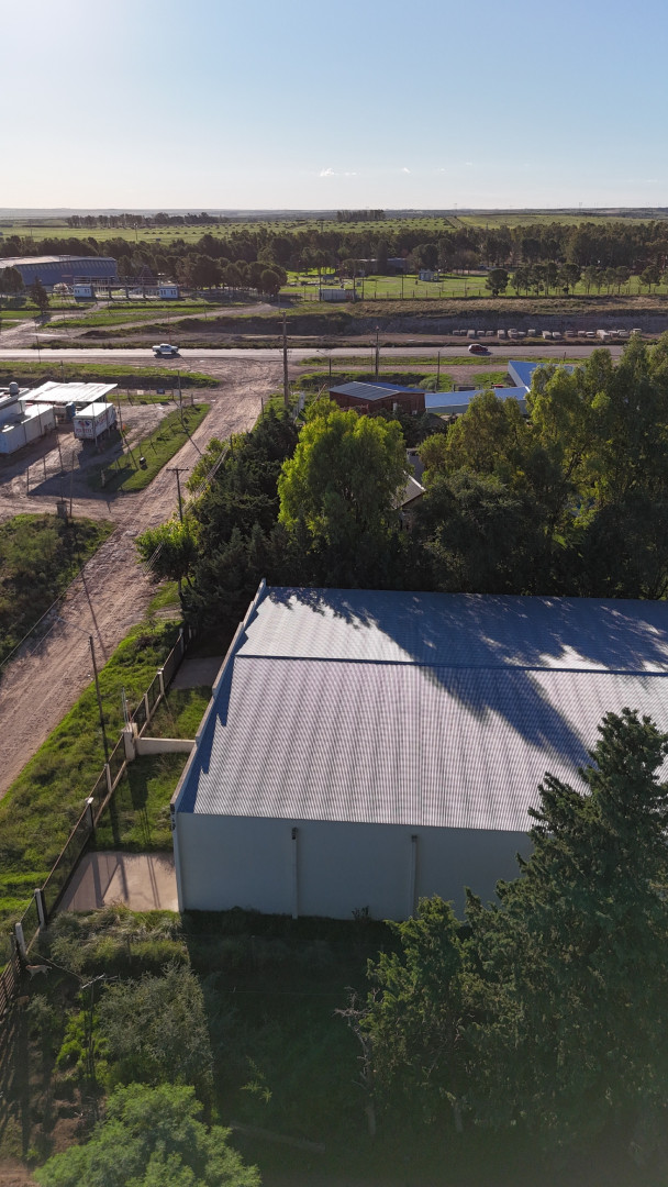 Galpón en Venta en Payro 4100, Villa Belgrano, Bahía Blanca - Bahía Blanca Propiedades | SITIO OFICIAL l