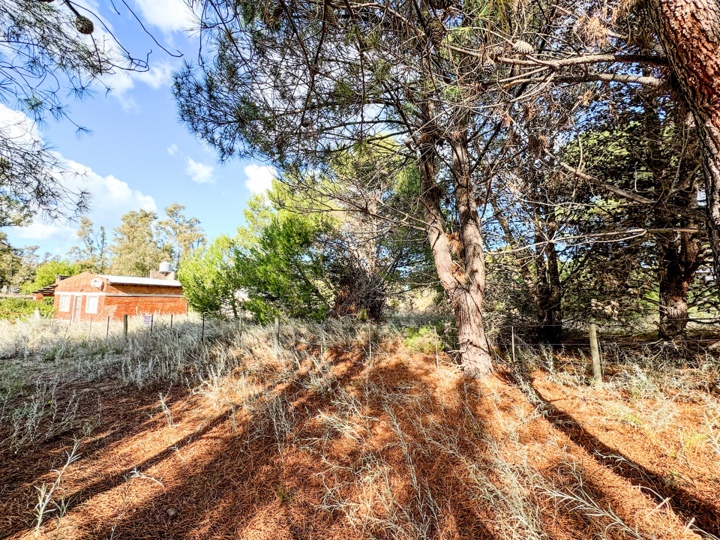 Terreno en Venta en Puleston, El Sauce, Monte Hermoso - Bahía Blanca Propiedades | SITIO OFICIAL l