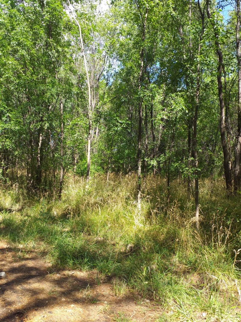 Terreno en Venta en Colibri,  Tornquist - Bahía Blanca Propiedades | SITIO OFICIAL l