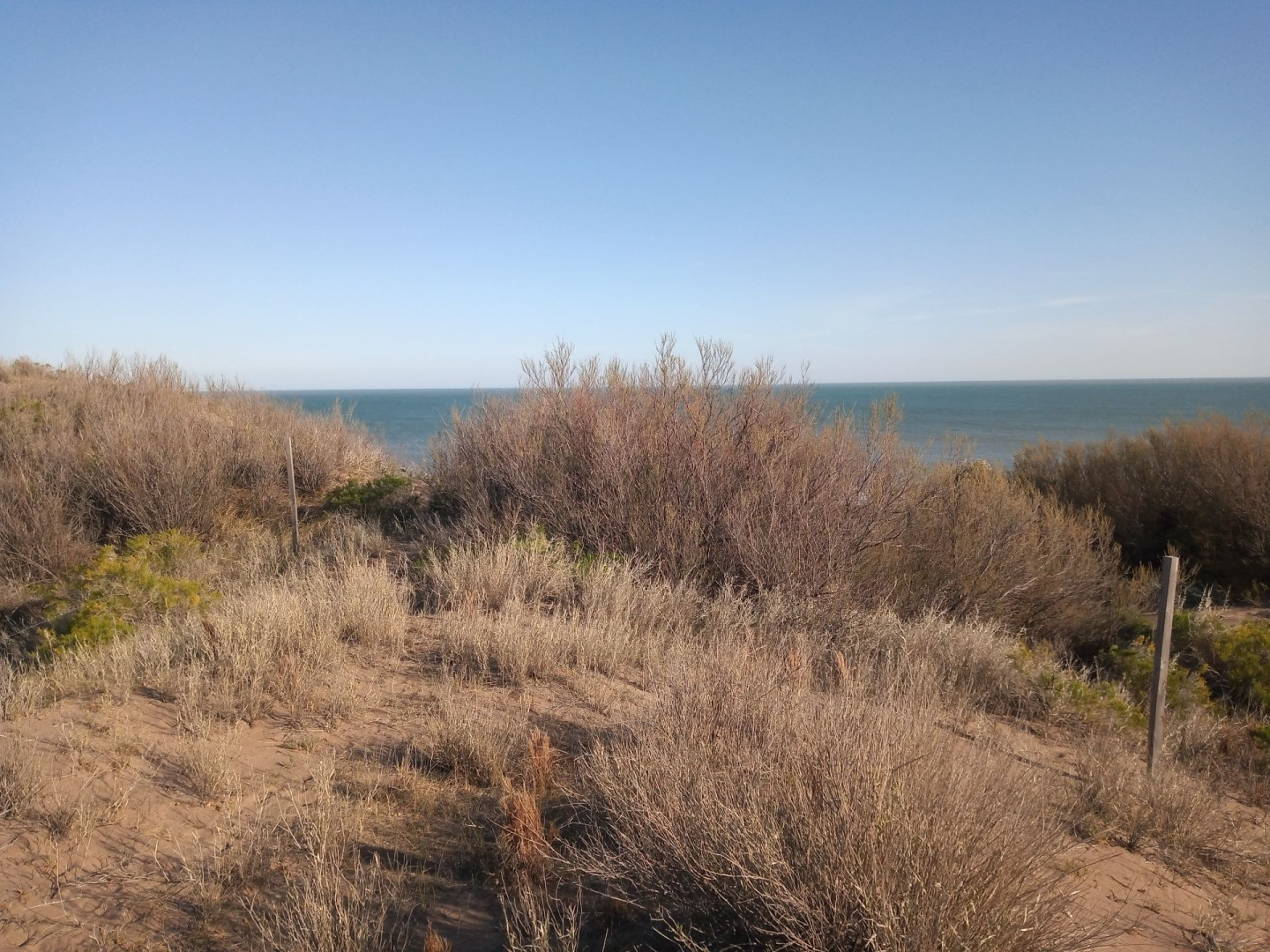 Terreno en Venta en Costanera Y Ensenada, El Sauce, Monte Hermoso - Bahía Blanca Propiedades | SITIO OFICIAL l