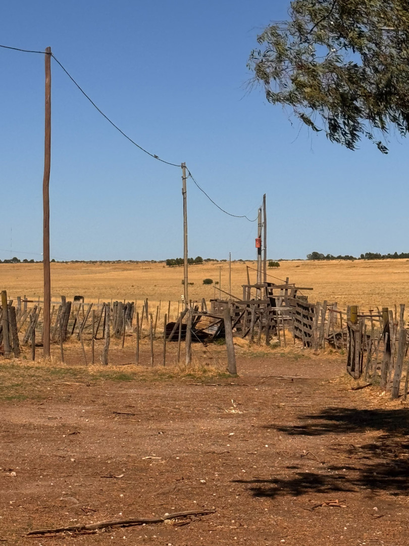 Campo  en Venta en RUTA 33 ,  Tornquist - Bahía Blanca Propiedades | SITIO OFICIAL l