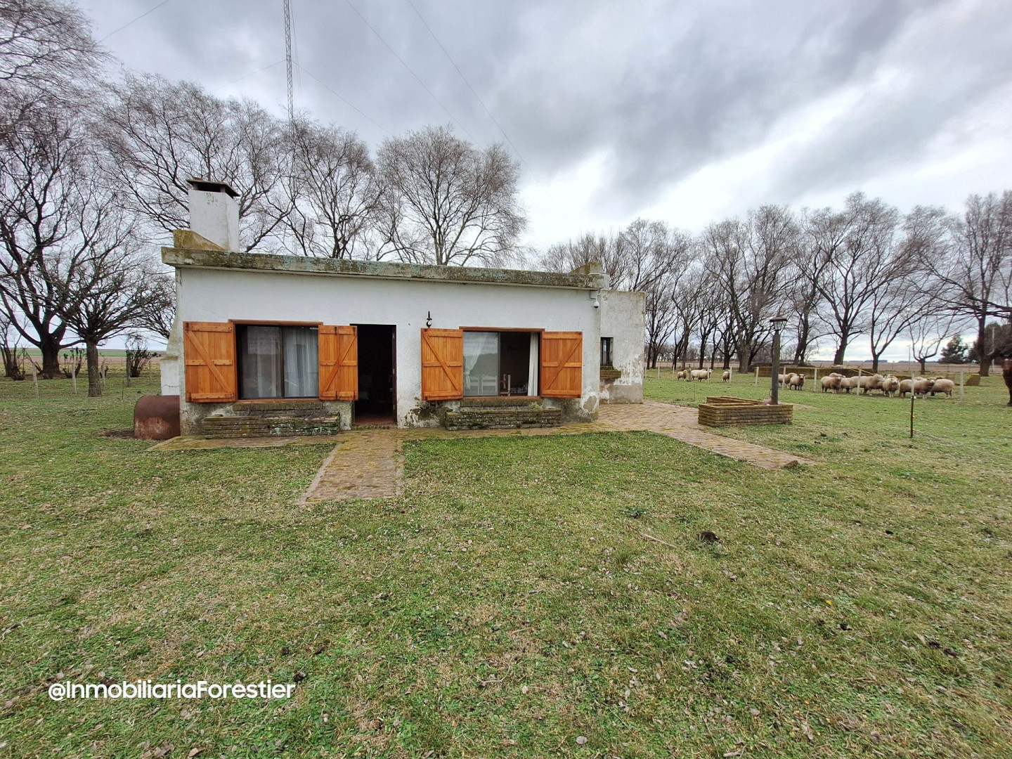 Quinta en Venta   Coronel Suarez - Bahía Blanca Propiedades | SITIO OFICIAL l