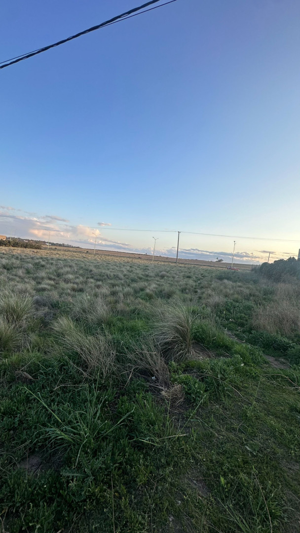 Terreno en Venta en Vera 2100, Los Muñecos, Bahía Blanca - Bahía Blanca Propiedades | SITIO OFICIAL l