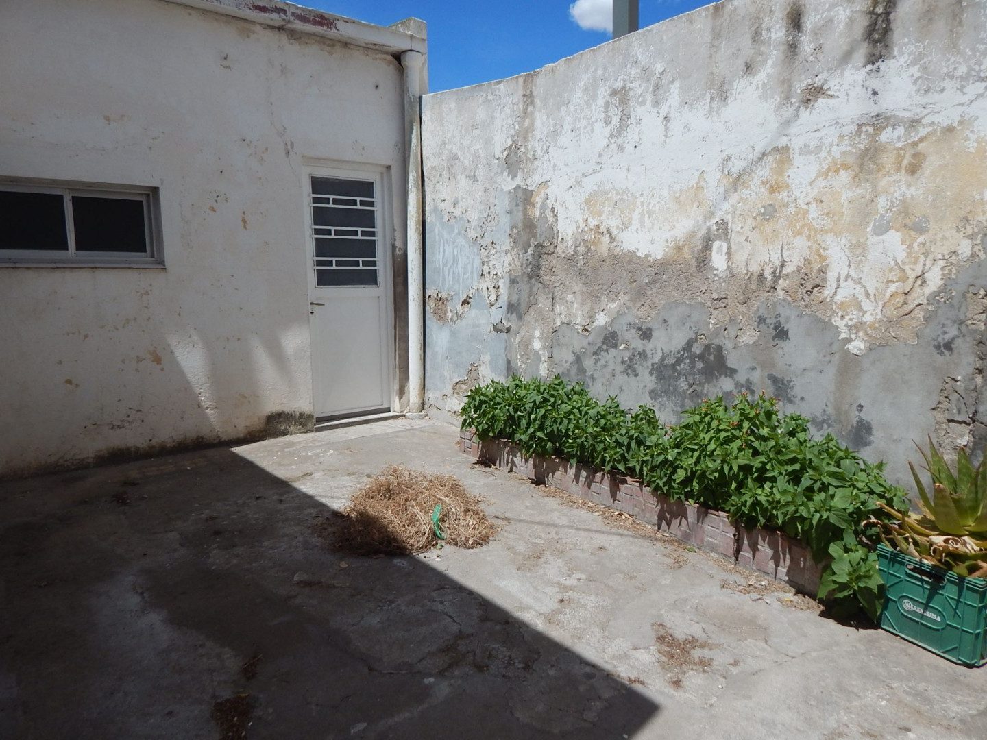 Departamento en Alquiler en Mitre 679, Centro, Bahía Blanca - Bahía Blanca Propiedades | SITIO OFICIAL l