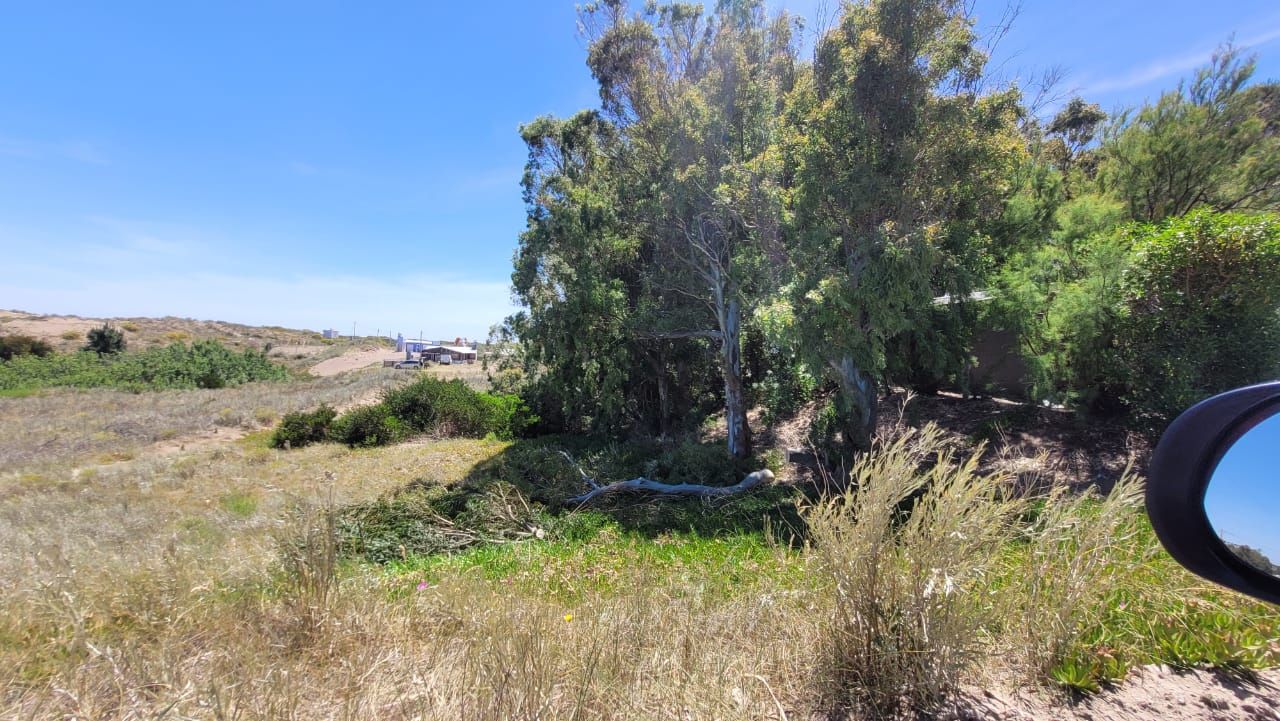 Terreno en Venta en E. Plache Y Punta Indio, El Sauce, Monte Hermoso - Bahía Blanca Propiedades | SITIO OFICIAL l