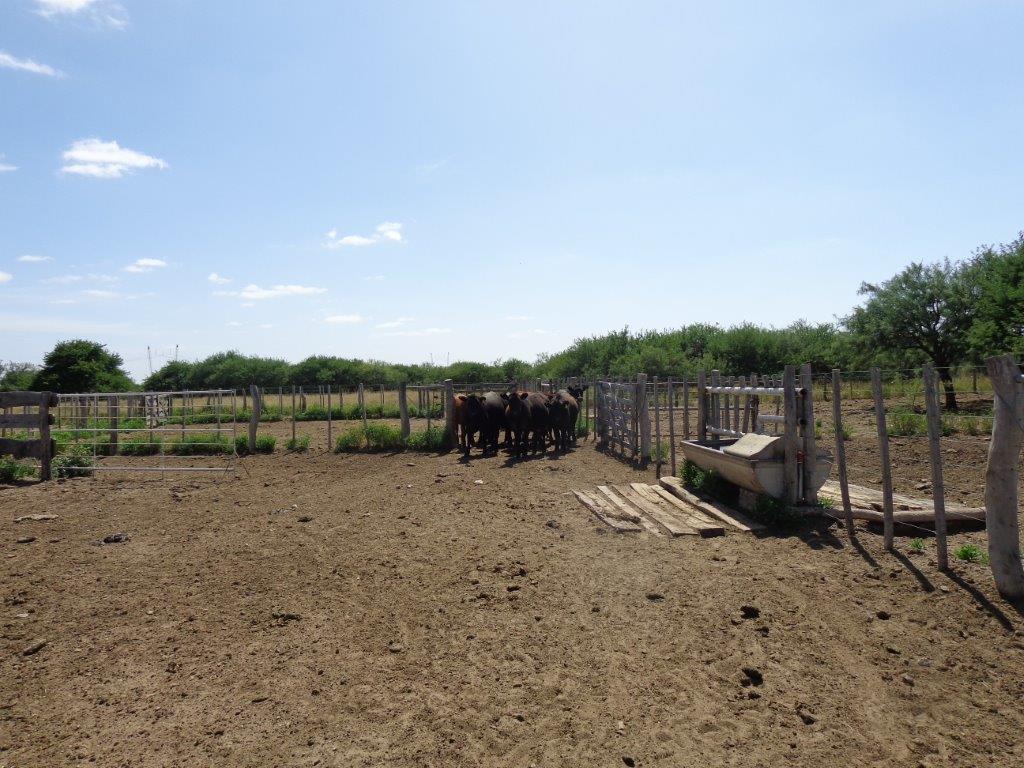 Campo  en Venta en Algarrobo Buenos Aires,  Algarrobo - Bahía Blanca Propiedades | SITIO OFICIAL l