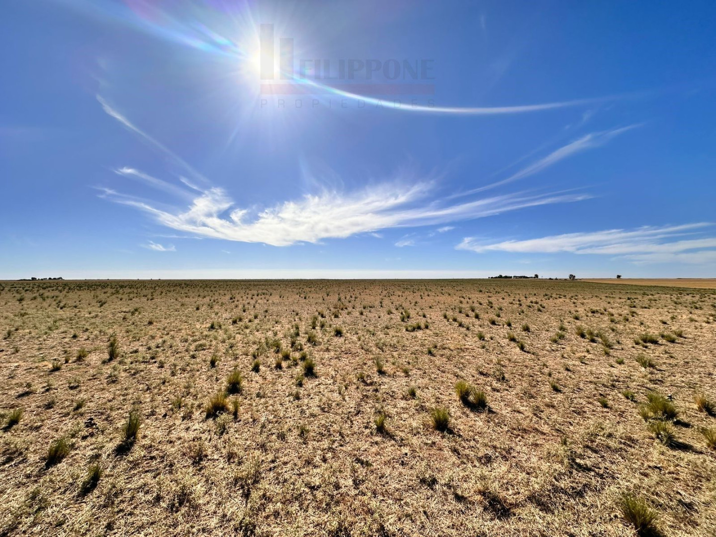 Campo  en Venta en Ruta 35,  Bahía Blanca - Bahía Blanca Propiedades | SITIO OFICIAL l