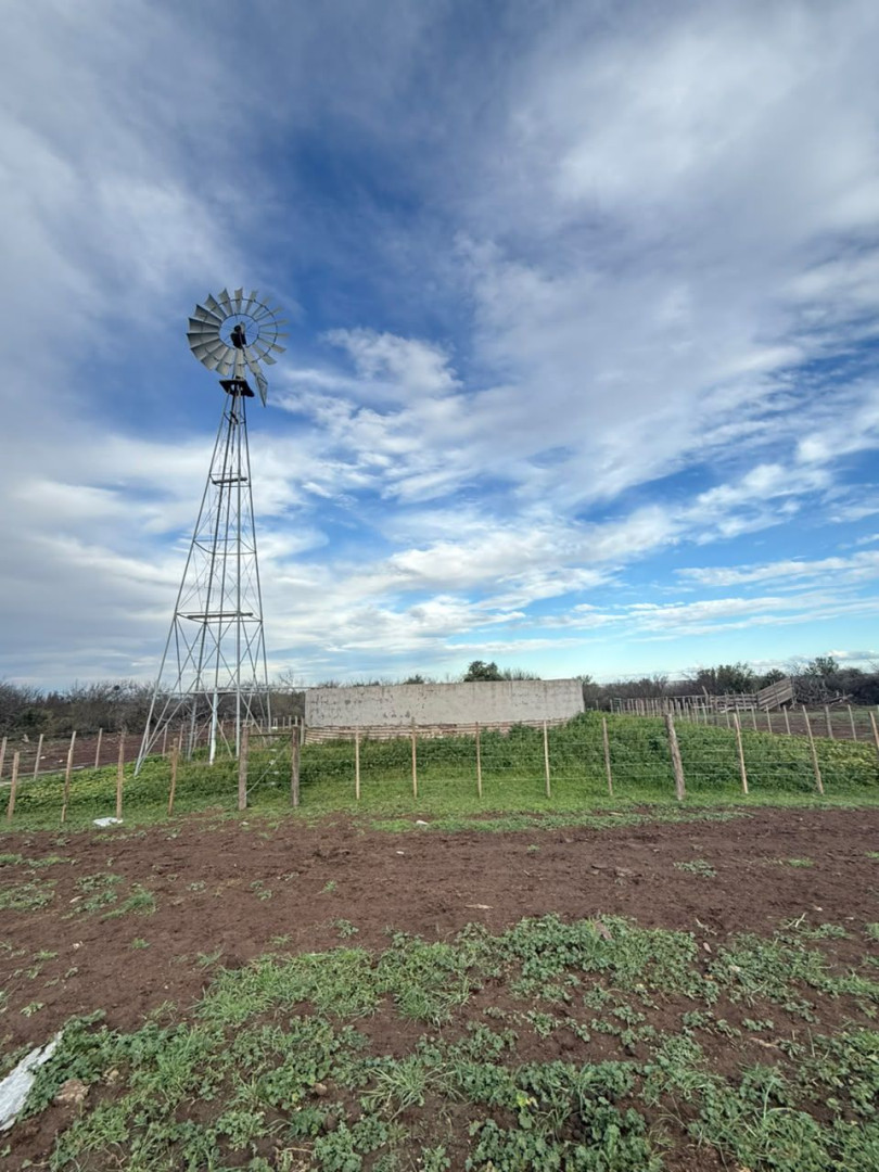 Campo  en Venta   Medanos - Bahía Blanca Propiedades | SITIO OFICIAL l