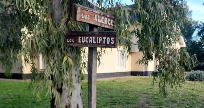 Terreno en Venta en Los Alerces Y Los Eucaliptos , Bosque Alto, Bahía Blanca - Bahía Blanca Propiedades | SITIO OFICIAL l