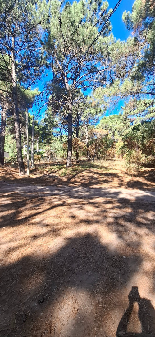 Terreno en Venta en Del Cazon, Las Dunas, Monte Hermoso - Bahía Blanca Propiedades | SITIO OFICIAL l