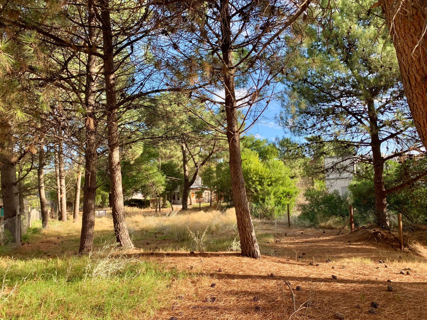 Terreno en Venta en Del Pejerrey Entre Los Delfines Y Del Tiburón, Las Dunas, Monte Hermoso - Bahía Blanca Propiedades | SITIO OFICIAL l