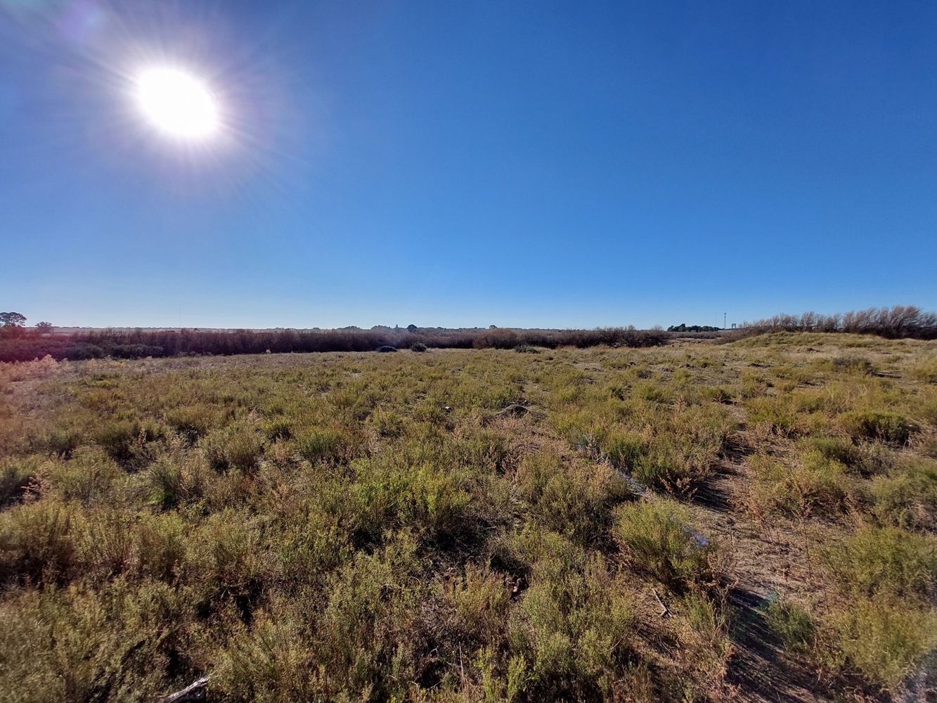 Terreno en Venta en Rodriguez Y Brigadier Estanislao Lopez ,  Bahía Blanca - Bahía Blanca Propiedades | SITIO OFICIAL l