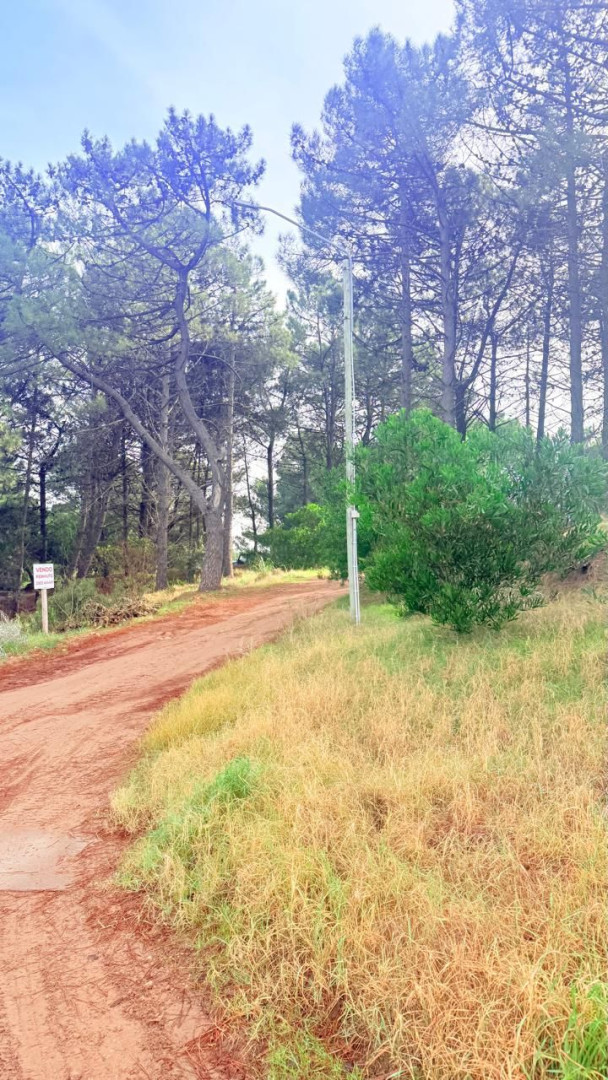 Terreno en Venta en LA PALOMA Y LAS URRACAS,  Monte Hermoso - Bahía Blanca Propiedades | SITIO OFICIAL l