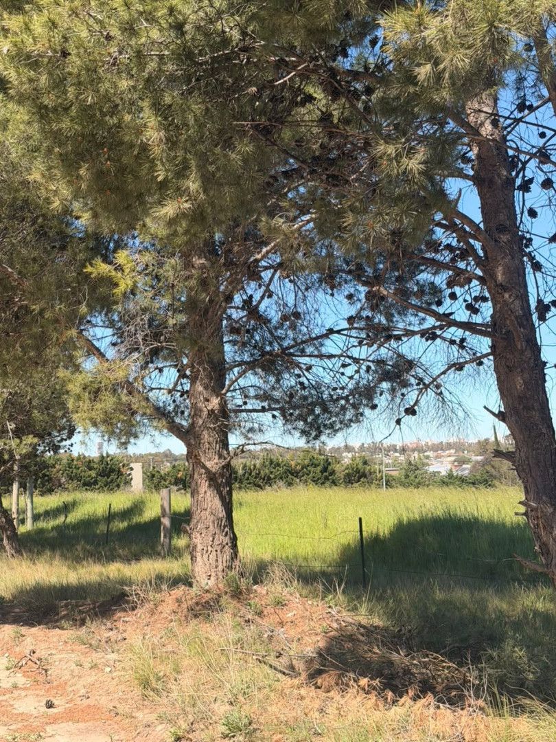 Terreno en Venta en Los Pinos Y Felipe Varela , San Carlos, Bahía Blanca - Bahía Blanca Propiedades | SITIO OFICIAL l