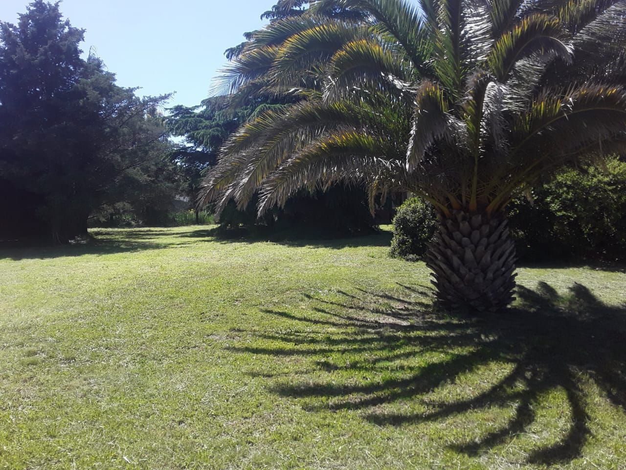 Casa en Venta   Chasico - Bahía Blanca Propiedades | SITIO OFICIAL l