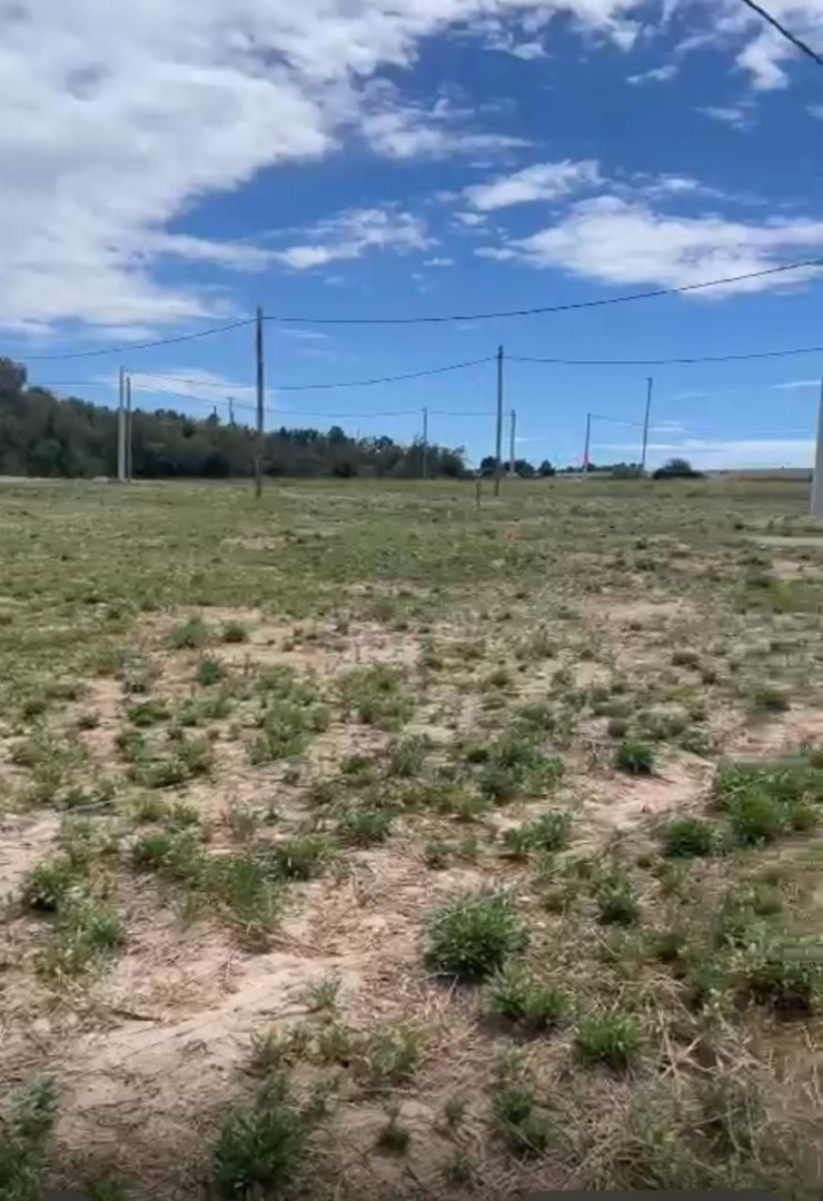 Terreno en Venta en El Ceibo 1600  Bahía Blanca, Villa Floresta, Bahía Blanca - Bahía Blanca Propiedades | SITIO OFICIAL l