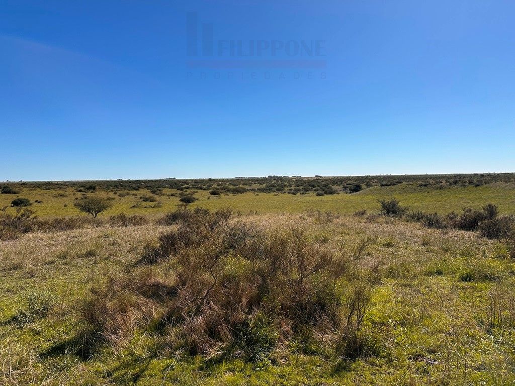 Campo  en Venta en Ruta 35 - Bahía Blanca Propiedades | SITIO OFICIAL l