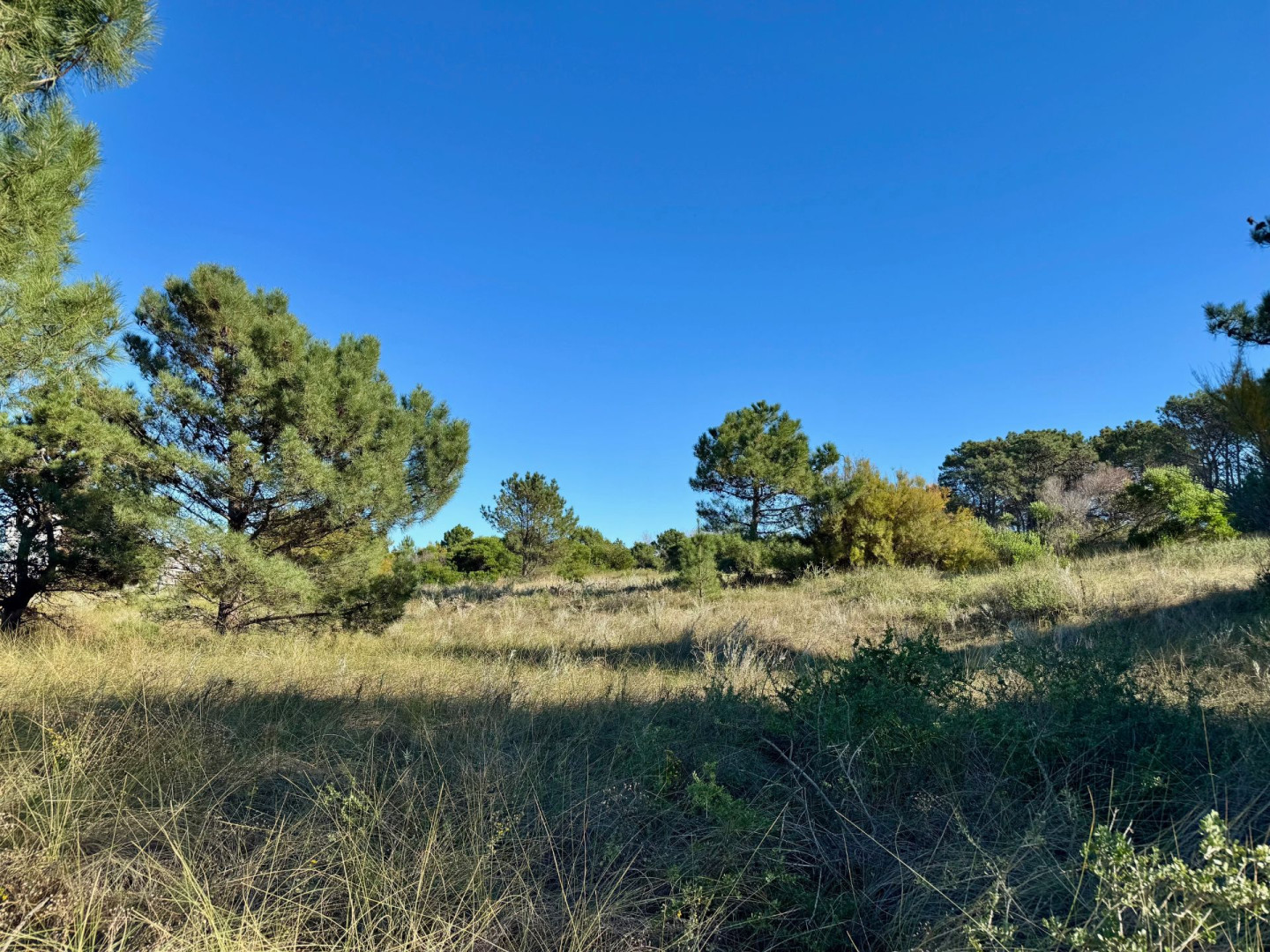 Terreno en Venta en Flamencos Y Martinetas, Monte del Este, Monte Hermoso - Bahía Blanca Propiedades | SITIO OFICIAL l