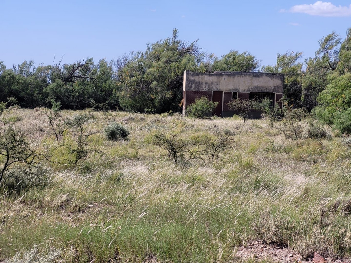 Terreno en Venta en RUTA 3  KM 701,  Bahía Blanca - Bahía Blanca Propiedades | SITIO OFICIAL l