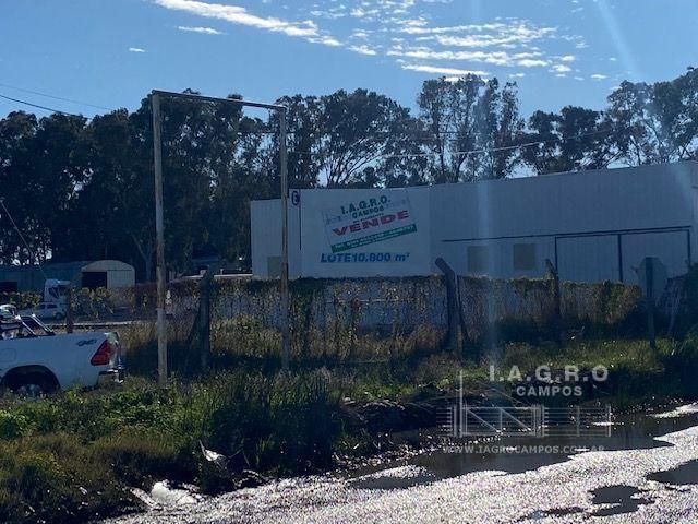 Galpón en Venta en Charlone Y Ruta 3,  Bahía Blanca - Bahía Blanca Propiedades | SITIO OFICIAL l