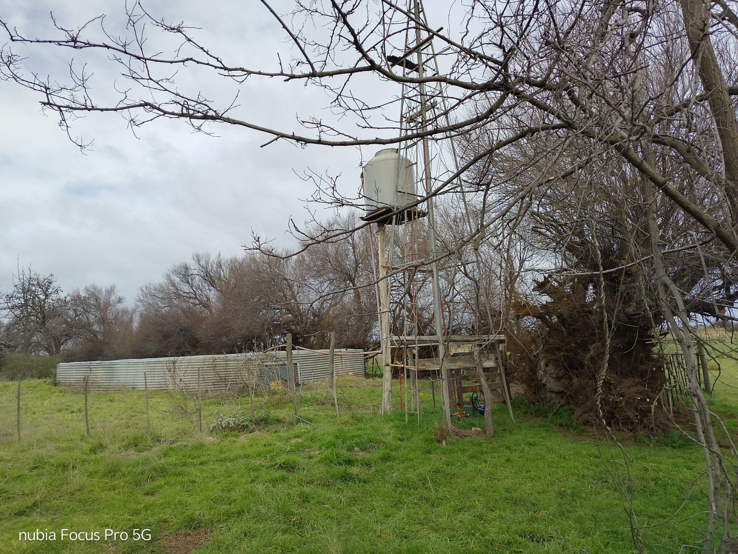 Campo  en Venta en Mayor Buratovich ,  Villarino - Bahía Blanca Propiedades | SITIO OFICIAL l
