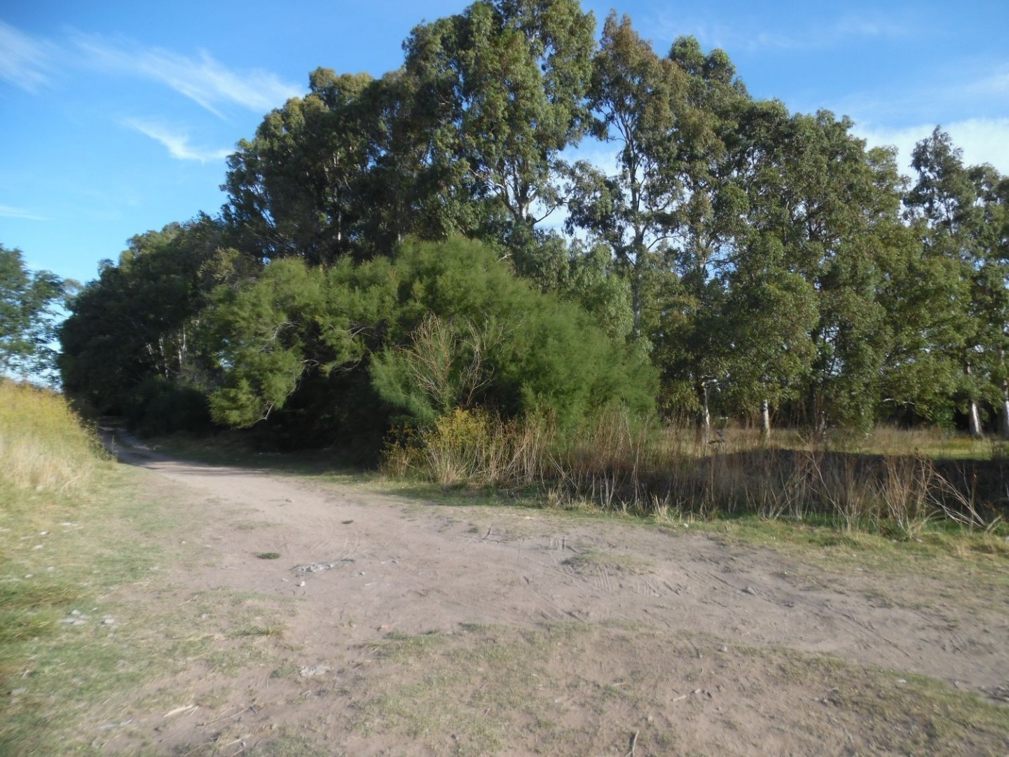 Terreno en Venta en Sesquicentenario Y Cabrera, Sesquicentenario, Bahía Blanca - Bahía Blanca Propiedades | SITIO OFICIAL l