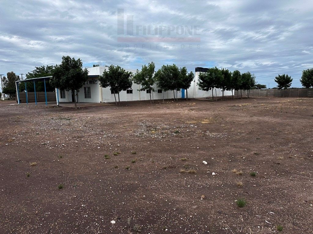 Terreno en Venta en Acceso A La Adela,  La Pampa - Bahía Blanca Propiedades | SITIO OFICIAL l