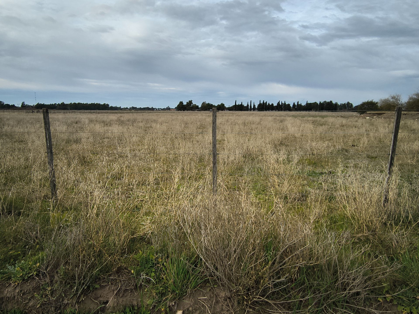Campo  en Venta en Colonia Los Alfalfares,  Medanos - Bahía Blanca Propiedades | SITIO OFICIAL l