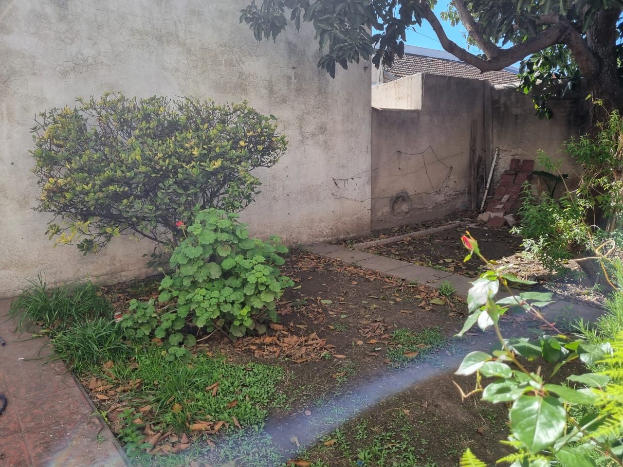 Casa en Venta en Patricios 500, Centro, Bahía Blanca - Bahía Blanca Propiedades | SITIO OFICIAL l
