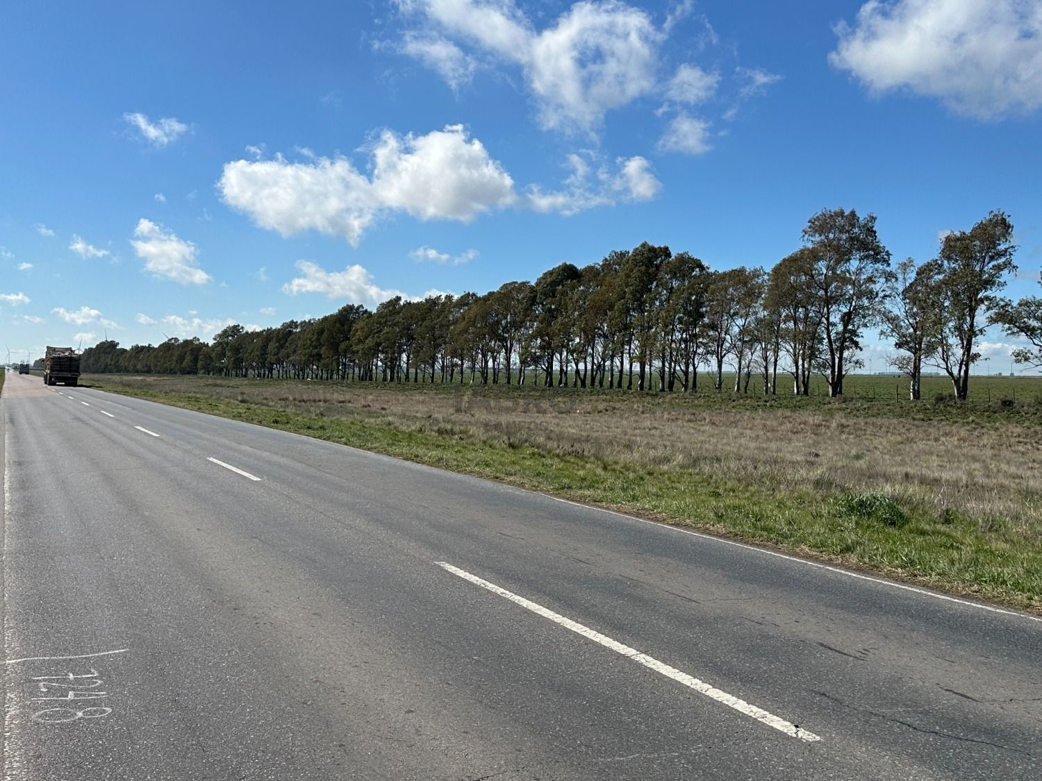 Campo  en Venta en Ruta 51,  Bahía Blanca - Bahía Blanca Propiedades | SITIO OFICIAL l