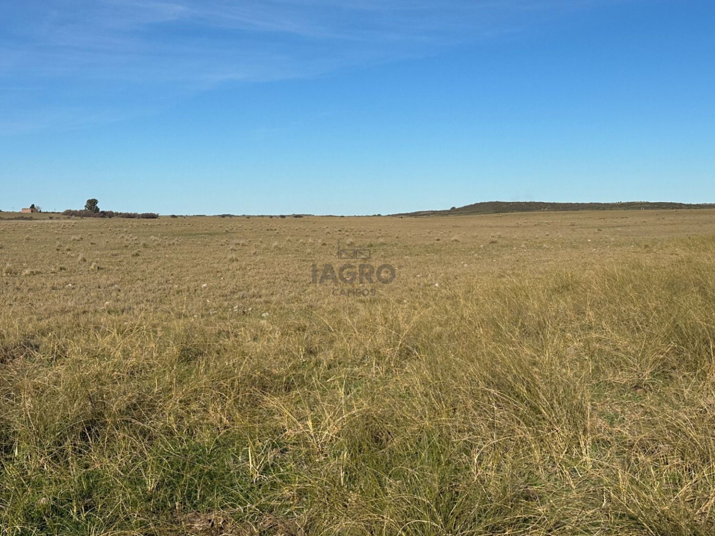 Campo  en Venta en Partido De Villarino,  Villarino - Bahía Blanca Propiedades | SITIO OFICIAL l