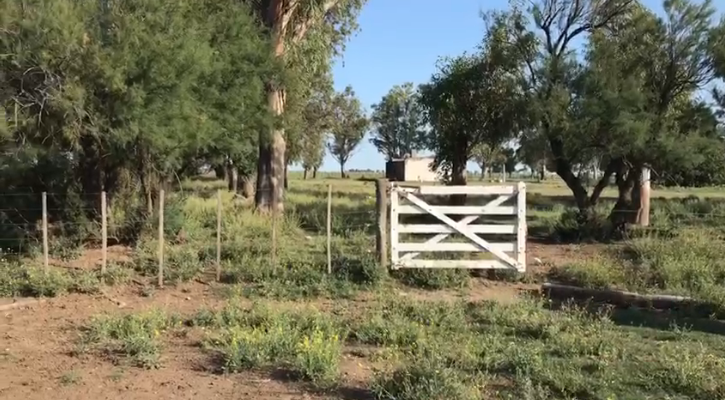 Campo  en Venta   Puan - Bahía Blanca Propiedades | SITIO OFICIAL l