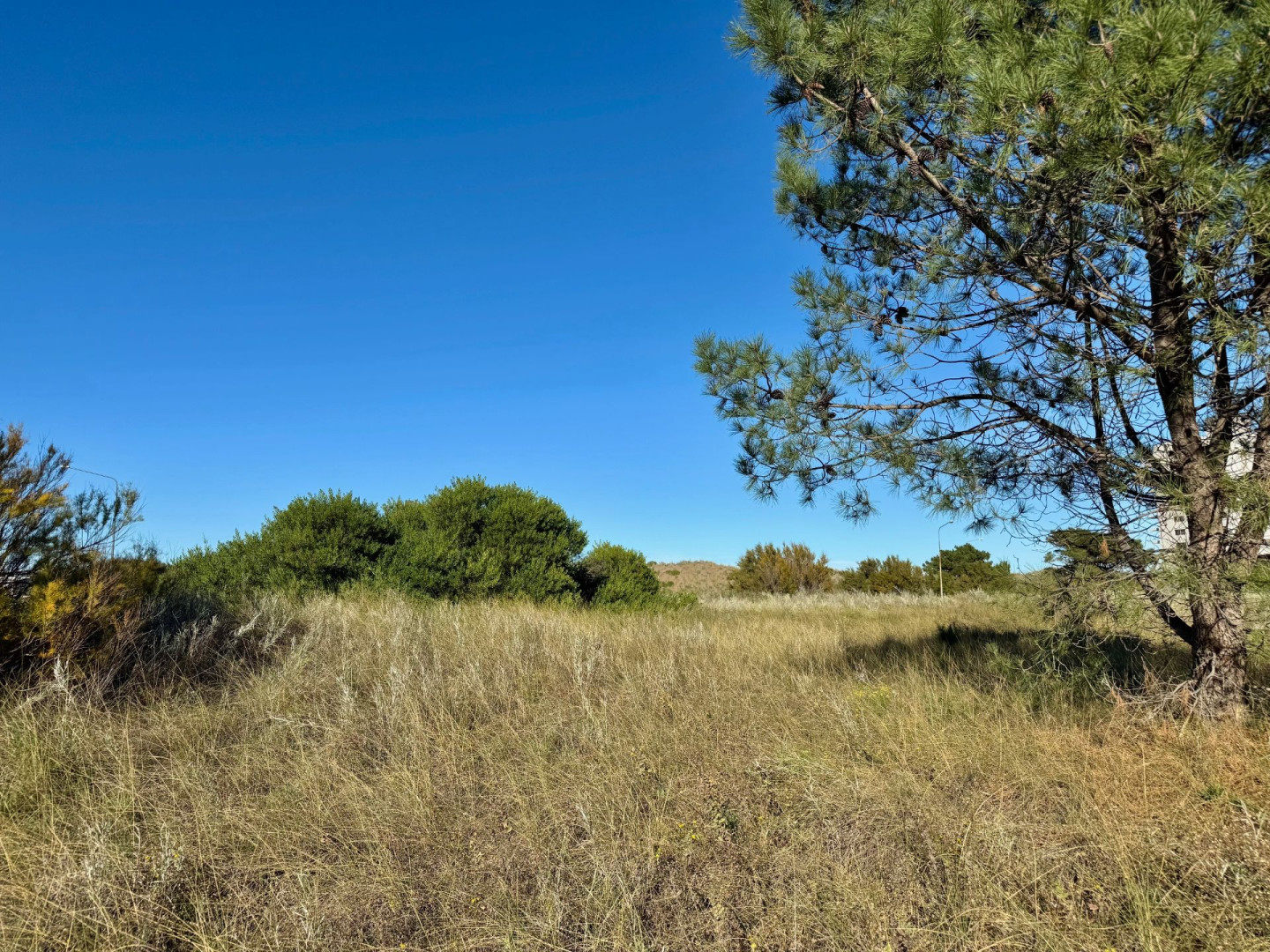 Terreno en Venta en Flamencos Y Martinetas, Monte del Este, Monte Hermoso - Bahía Blanca Propiedades | SITIO OFICIAL l