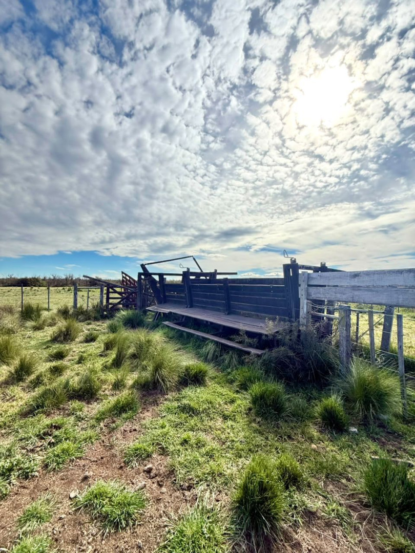 Campo  en Venta   Villalonga - Bahía Blanca Propiedades | SITIO OFICIAL l
