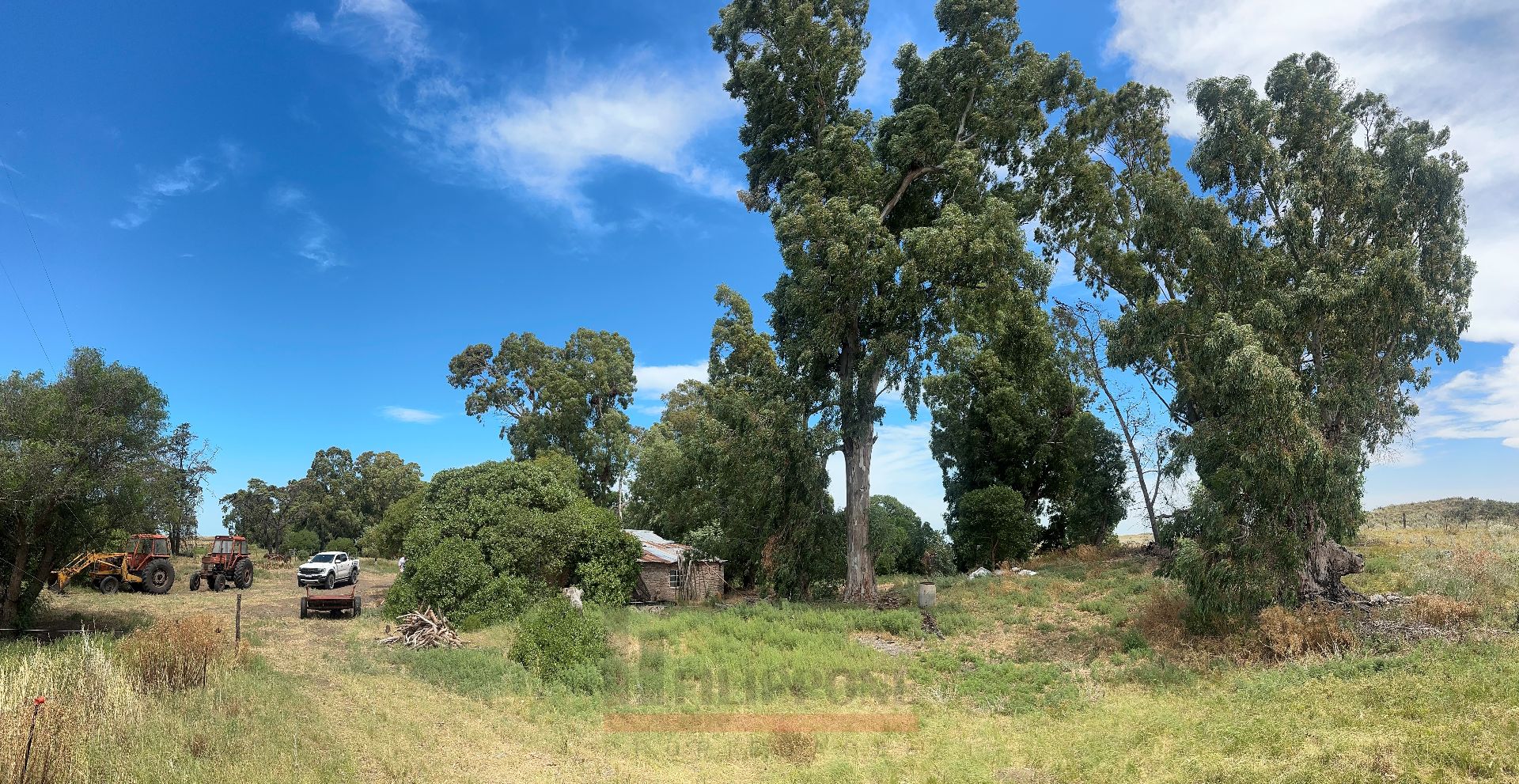Campo  en Venta   Coronel Dorrego - Bahía Blanca Propiedades | SITIO OFICIAL l